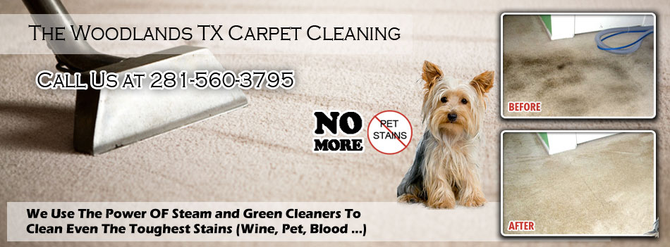 the woodlands tx carpet cleaning